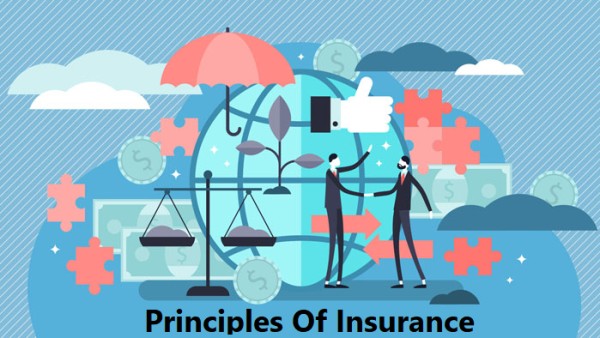 Meaning, Definition And Principles of Insurance - Law Corner