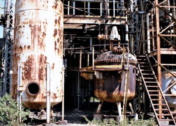 bhopal gas disaster case study